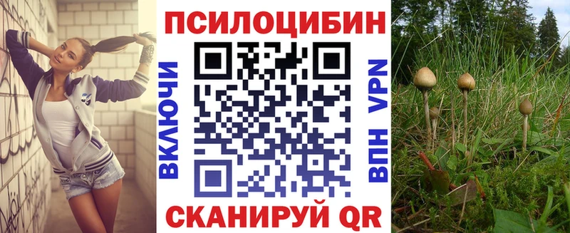 Псилоцибиновые грибы Psilocybine cubensis  Иннополис 